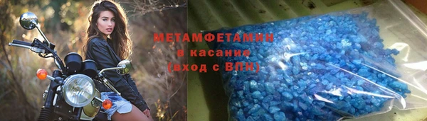 хмурый Аркадак