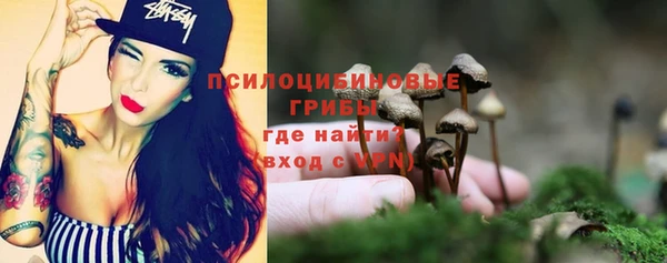 хмурый Аркадак